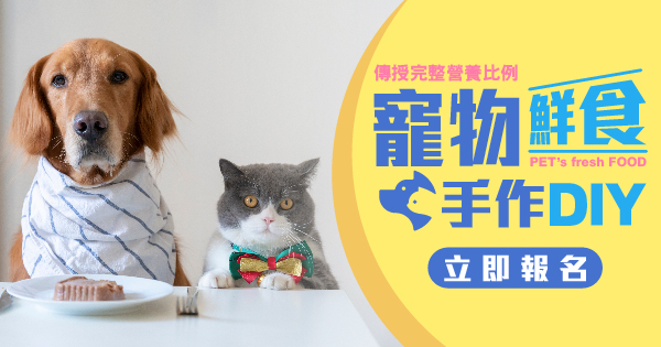 寵物鮮食手作DIY