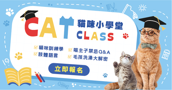貓咪小學堂