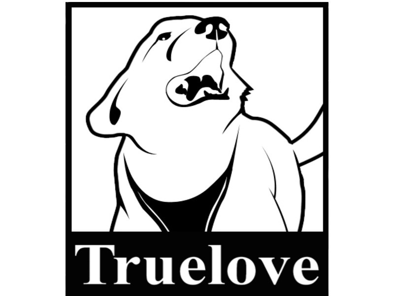 星惠國際有限公司