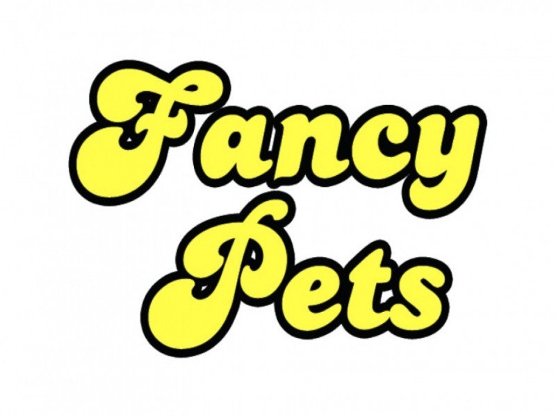 Fancy Pets
