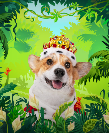 森林之汪爭霸賽