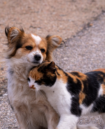 您登記我捐款<br>做愛心抽萬元禮
