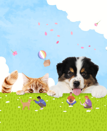 寵物溝通師<br>傾聽毛孩心聲