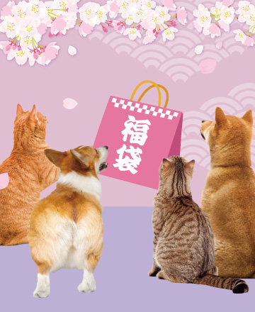 春日櫻花盛開<br>早鳥福袋免費送