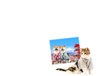 招財結緣<br>日式寫真拍