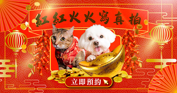 紅紅火火寫真拍