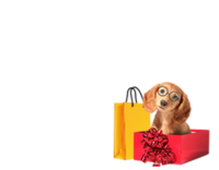 好彩頭早鳥福袋