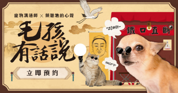 寵物溝通師x傾聽毛孩心聲