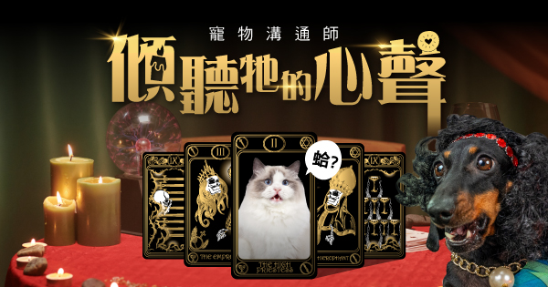 寵物溝通師x傾聽毛孩心聲