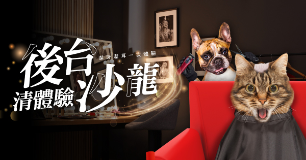 後台沙龍清體驗