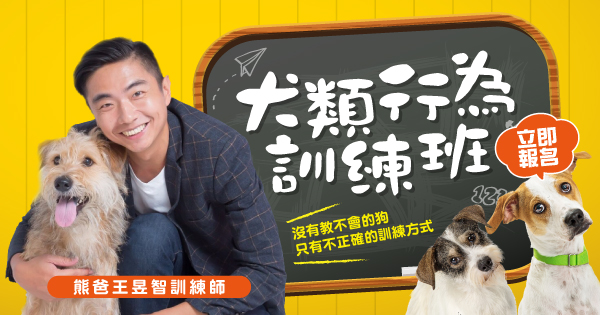 熊爸犬類行為訓練班