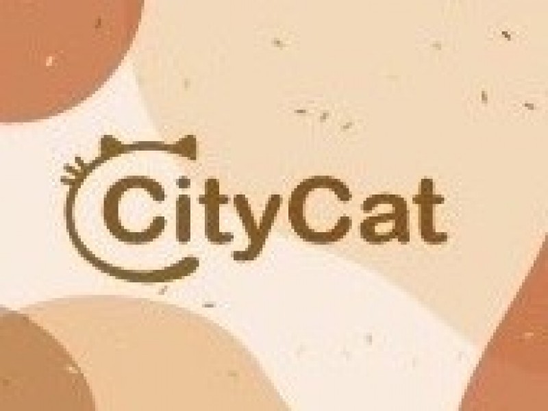 City Cat
