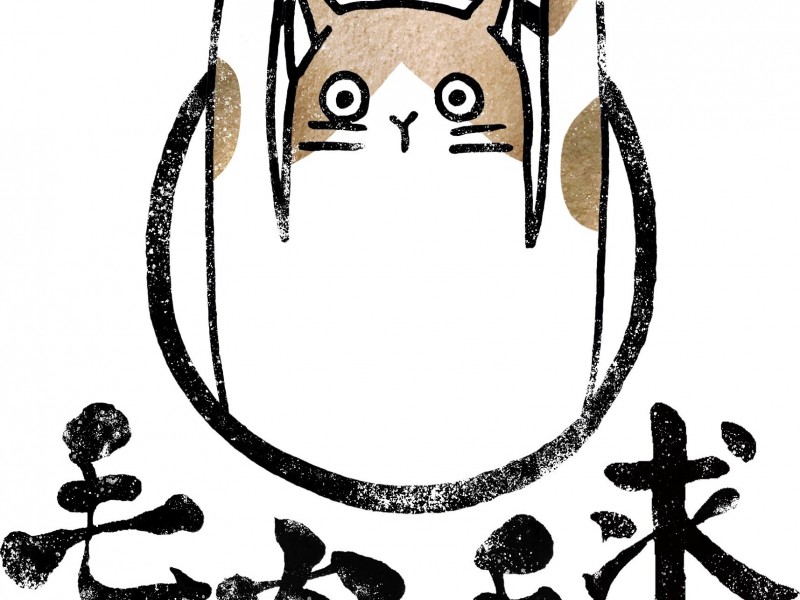 毛肉毛求有限公司