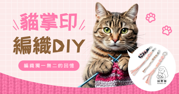 貓掌印編織DIY