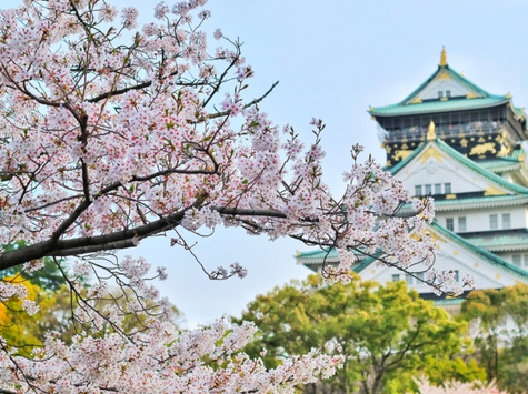 櫻花季秒殺行程搶先看！2025 TPTE台北旅展豪華郵輪與五星住宿優惠首波曝光