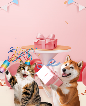 寵愛早鳥派對包