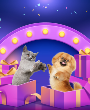 汪喵禮遇厚禮送