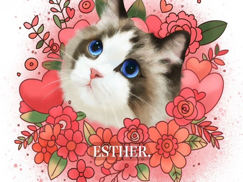 墨澗Esther｜寵物似顏繪·寵物插畫