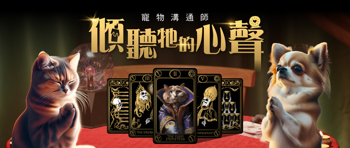 會員專屬活動