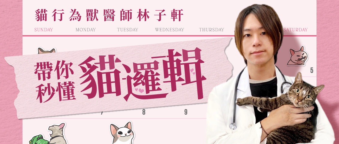 貓兒行為學林子軒