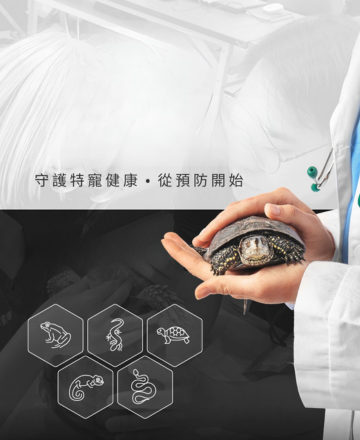 異世界<br>兩棲爬蟲義診