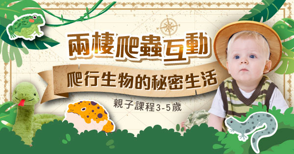 兩棲爬蟲互動課