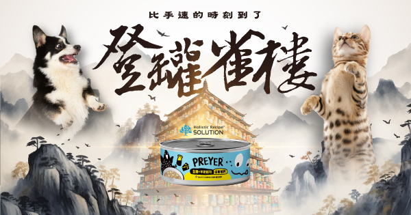 登罐雀樓