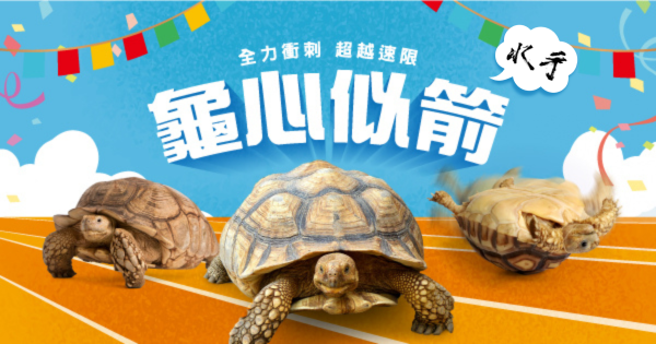 龜心似箭