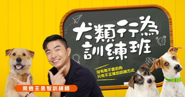 熊爸犬類行為訓練班