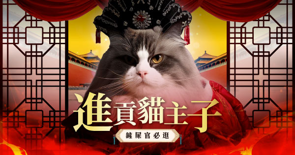 進貢貓主子