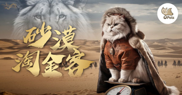 最強砂漠淘金客