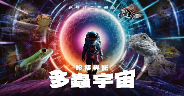 兩棲爬蟲主題區