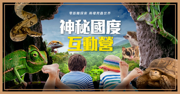 神秘國度互動營