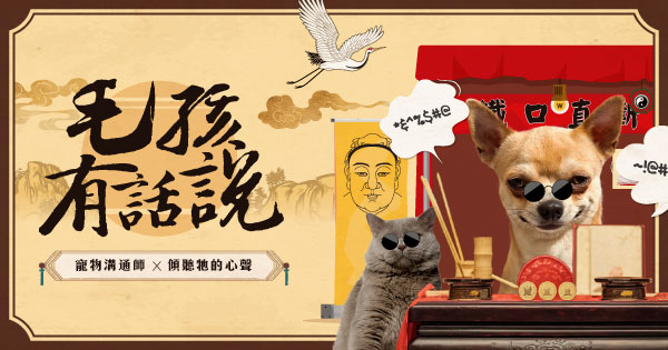 寵物溝通師x傾聽毛孩心聲