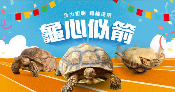 龜心似箭