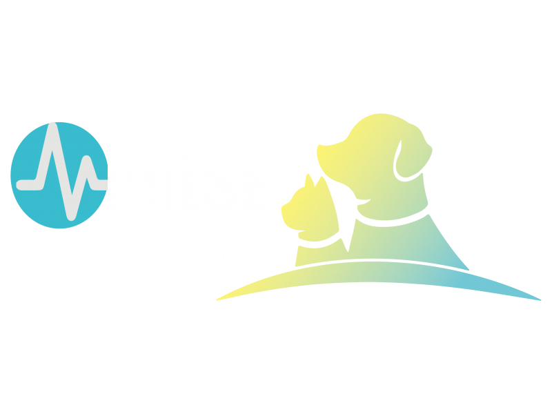 愛蜜奇 - 磁立奇 PULSE 