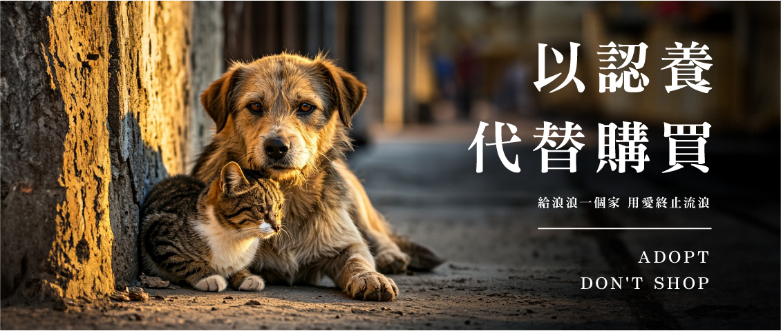 給浪浪一個家