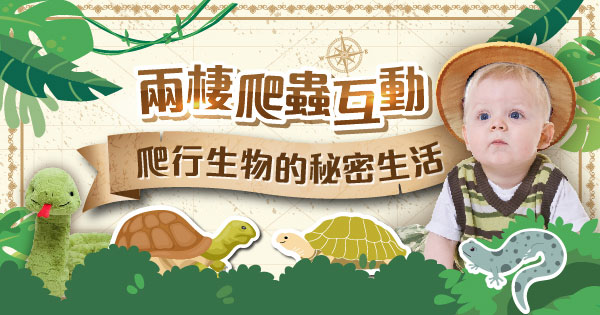 兩棲爬蟲互動課