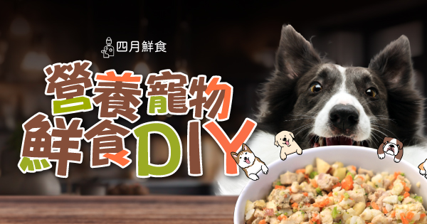 營養寵物鮮食DIY
