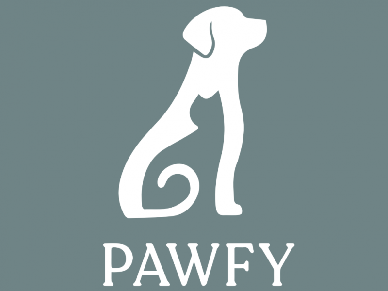 銀池數位文化有限公司