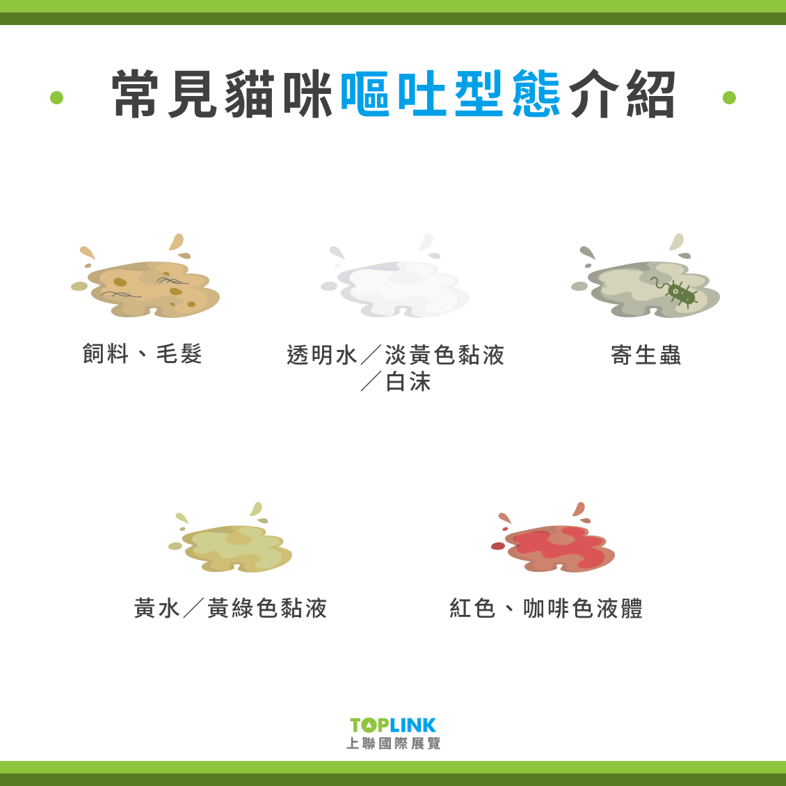 貓咪吐黃水、貓吐透明水嚴重嗎?教你從貓嘔吐物判別貓咪身體狀況