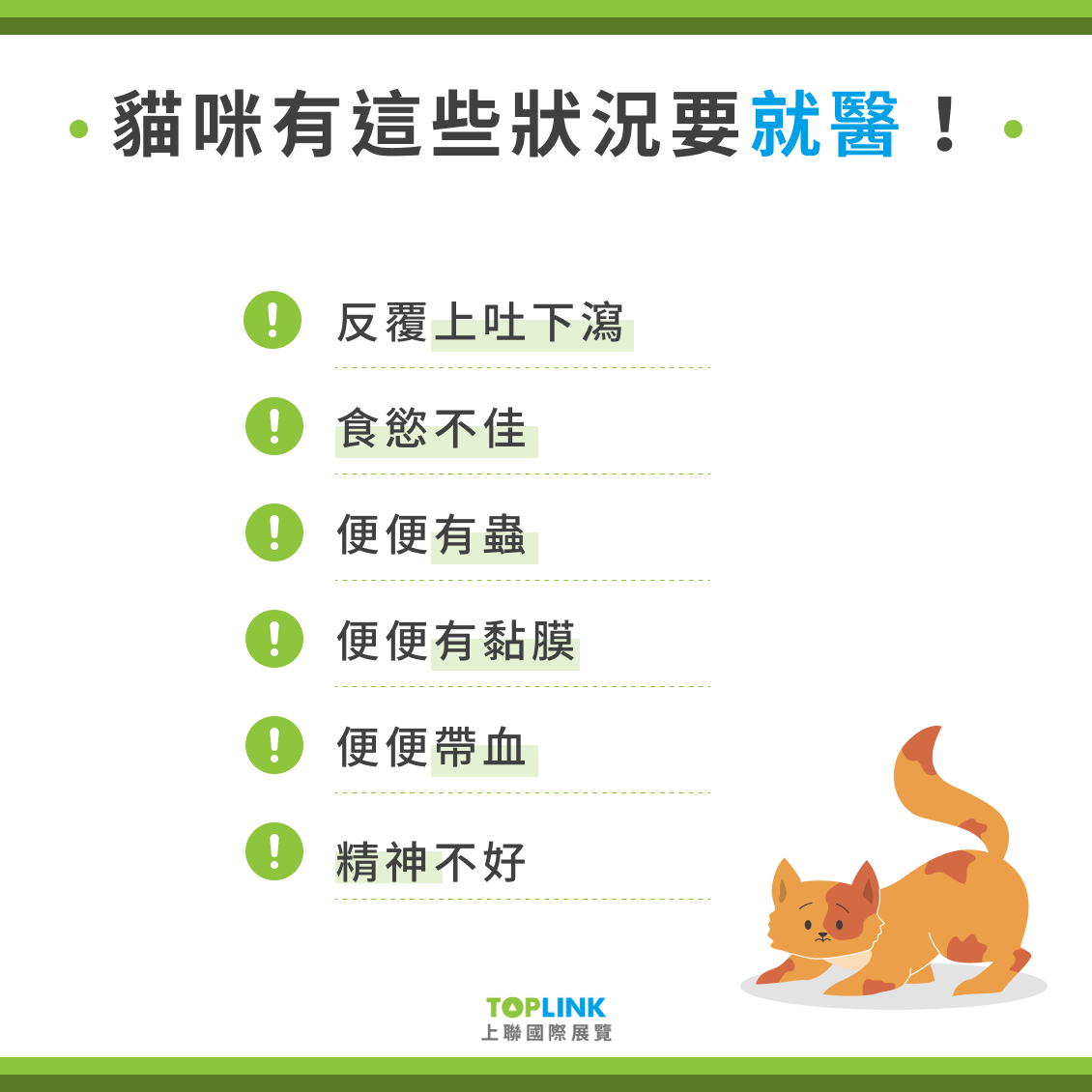 貓咪有這些狀況要就醫!