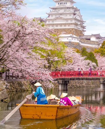 賞花攻略