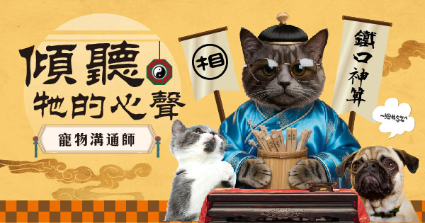 寵物溝通師x傾聽毛孩心聲