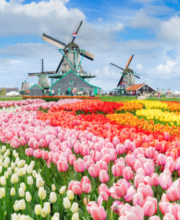 賞花秘境大公開