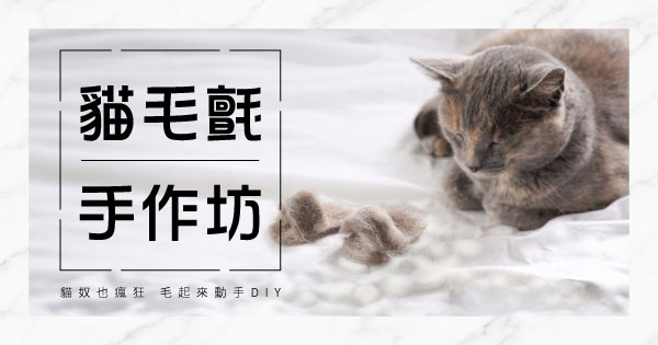 貓毛氈手作坊