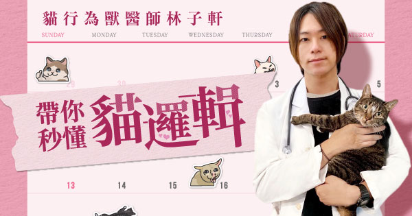 貓兒行為學林子軒