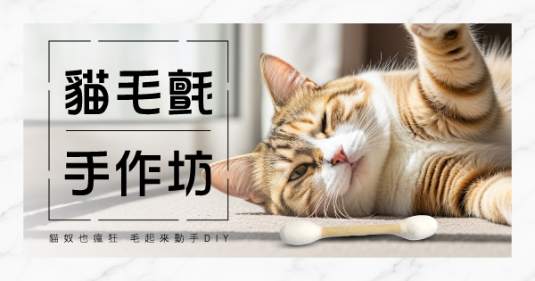貓毛氈手作坊