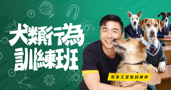 熊爸犬類行為訓練班