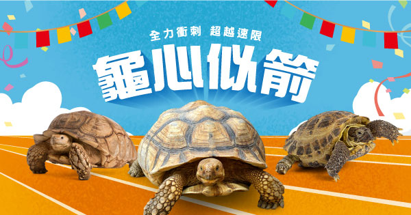 龜心似箭